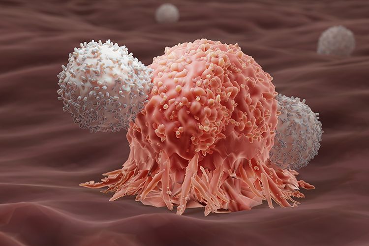 Hoffnung für Immuntherapien: Basler Forscher entlarven Krebszellen