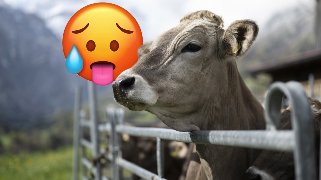 Bauern kämpfen für Klimaschutz und reichen Beschwerde beim Bund ein